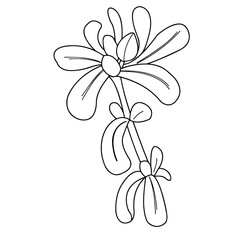 Close-up of a patterned fragment on a white background. Illustration of vector graphics, where plant elements are depicted. Material for creating patterns, decorative backgrounds, or seamless designs.