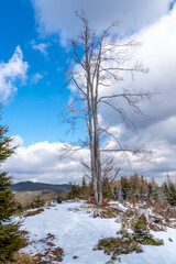 Sunny day in the heart of Beskid mountains. Snow is slowly melting, spring on its way. Sunny day by the end of winter. Central european landscape. Czechia.