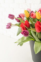 Close up of fresh bright tulips in bucket