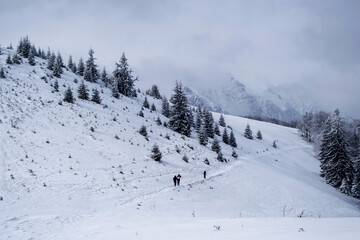 Fototapeta na wymiar Grecului valley toward Leuca Mica peak. Winter landscape between Azuga and Grecului valley towards Gura Diham chalet. Road marked with a yellow triangle. Romania.