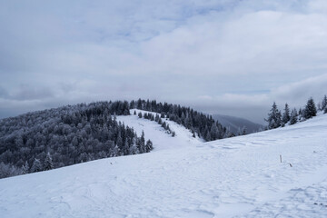 Grecului valley seen from the Grecul peak. Winter landscape between Azuga and Grecul peak towards Gura Diham chalet. Romania.