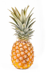 Studio lighting. white background. it has a juicy fruit on it. Pineapple.