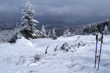 Grecul peak. Landscape between Azuga and Grecul peak towards Gura Diham chalet. Road marked with a yellow triangle.