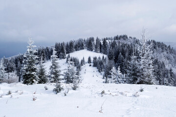 Grecului valley seen from the Grecul peak. Winter landscape between Azuga and Grecul peak towards Gura Diham chalet. Romania.