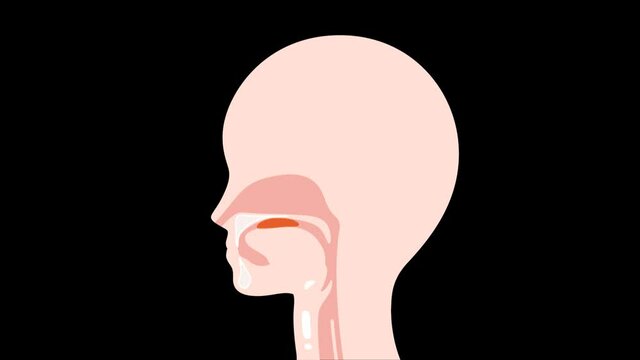 嚥下プロセスの動画素材_誤嚥