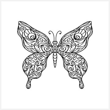 Vintage Butterfly. Sketch animal icon isolated on white. Zentagle vector stock illustration. EPS 10