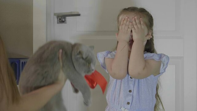 Mom gives a kitten to her daughter. Happy little girl jumping and laughing. Little girl receives a kitten as a gift . Beautiful little girl wint long blond hair.