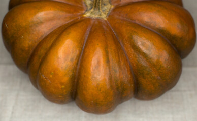 The pumpkin is orange in color, beautiful and healthy