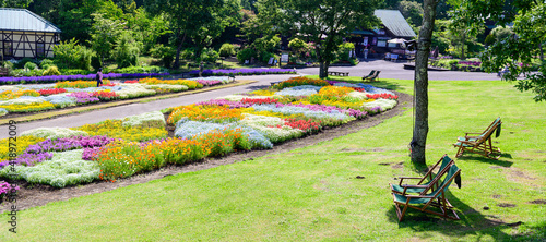 春彩畑風景 うららかな春の季節イメージ素材 パノラマ撮影 日本 九州 大分県 くじゅう花公園 年春 Spring Color Field Scenery Beautiful Spring Season Image Material Panoramic Photography Japan Kyushu Oita Prefecture Kuju Flower Park Wall