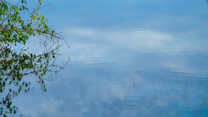 float on the surface of the water in the early morning