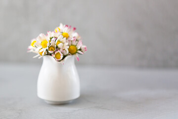 Daisy flowers in a vase on gray background with copy space. minimalist style. Spring holidays concept. Banner. Soft focus
