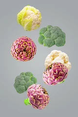 Isoliertes Gemüse. Sieben Mischungen aus Brokkoli, Artischocken und Blumenkohl, die herunterfallen, isolieren sich auf ultimativem Grau mit Beschneidungspfad als Verpackungsdesignelement. Volle Schärfentiefe. © Rodica Ciorba