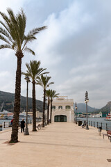 Palm trees in the port of Cartagena, Murcia.