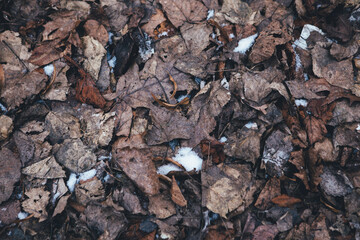 garbage in the pile