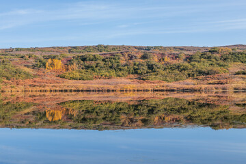Autumn Refelction in Denali National Park Alaska