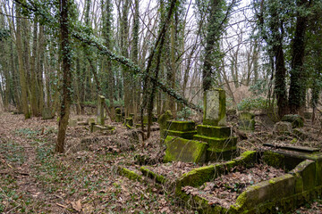 Cmentarz żydowski w Częstochowie,rak&oacute;w