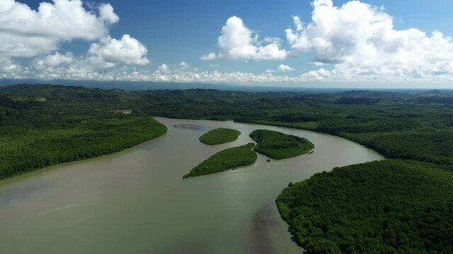 aerial sunny landscape of a river and mangroves and islands Zancudo Costa Rica