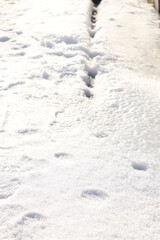 footsteps in snow