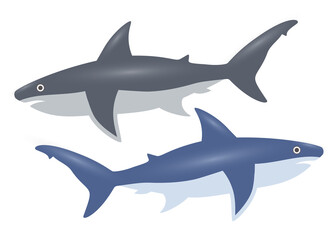 Gray and blue shark with highlights in the set.