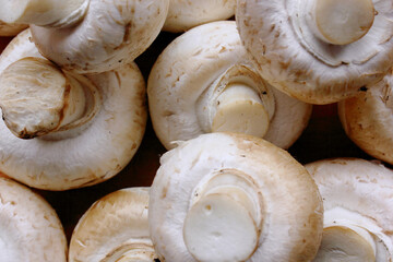 Champignons. Lots of fresh mushrooms close-up view from above. Delicious and healthy mushrooms are grown at home. Fresh raw mushroom. The frame is filled entirely with mushrooms. Background. Food
