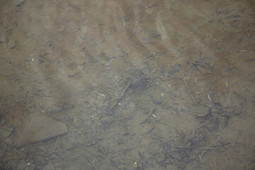 water from a reservoir in a city park