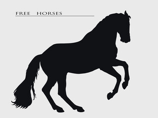 vector isolated black realistic silhouette of a free horse on a light background