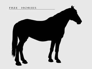 vector isolated black realistic silhouette of a free horse on a light background