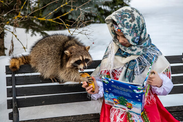beautiful girl in national red costume and gray raccoon in winter 