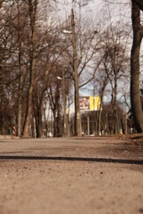 Naklejka premium park in autumn