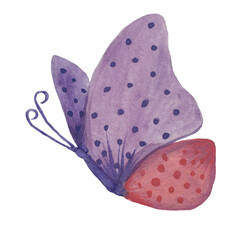 Watercolor illustration of Happy Easter butterfly .in delicate colors - pink, violet for greeting cards and design of fabric, textile, wedding cards. Spring purple butterfly.