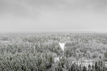 AERIAL: Flying over frozen snowy treetops towards countryside isolated little house in the middle of a snow covered forest in panoramic view.