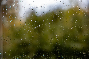 rain drops on the window