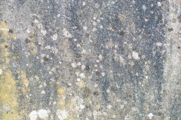 Natural grey stone surface with green and yellow lichen.  For use as a background or wallpaper and an overlay in design and photography projects.