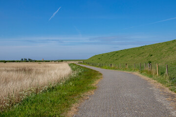 Naturschutzgebiet Hauener Pütte- Nordseeküste - 2