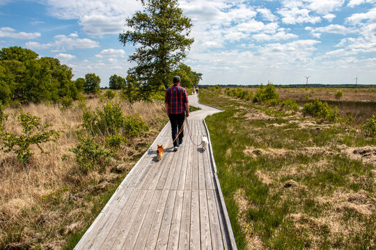 Ewige Meer bei Eversmeer - Nordseek&uuml;ste - 3