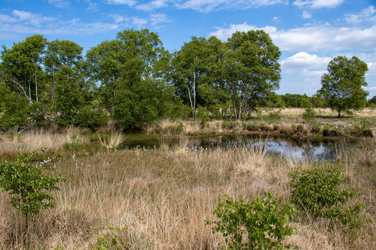 Ewige Meer bei Eversmeer - Nordseek&uuml;ste - 2