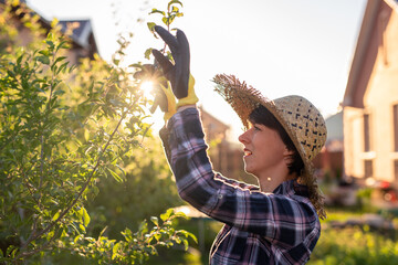 Side view of focused young caucasian woman gardener cuts unnecessary branches and leaves from tree...