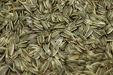 Dried sunflower seeds texture. Striped sunflower seeds background.