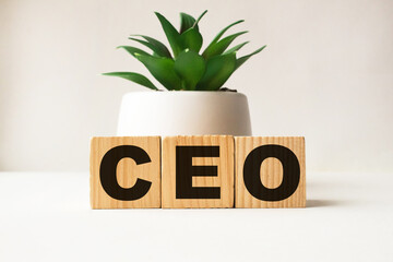 Fototapeta na wymiar a word CEO on wooden cubes. business concept. business and Finance