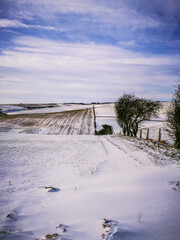 A wintry view from Sharpe Howe on the Yorkshire Wolds