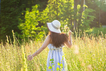 Rear view of beautiful young woman walking among wildflowers on sunny summer day. Concept of the joy of communicating with summer nature