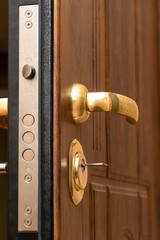 Close-up of the golden handle, the lock with the key of the beautiful brown front door. Vertical photo