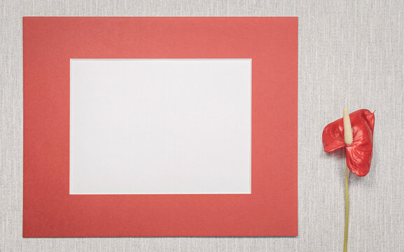 Cadre photo sur fond gris avec une fleur rouge. Pour écrire un message, invitation, vœux, photographie.	