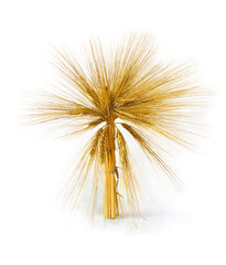 Obraz premium Sheaf of ears of barley on a white background