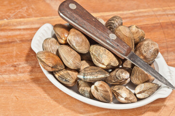 top view, close distance of a white, oval bowl of freshly caught saltwater clams with a knife to open clams, on display and for sale at a tropical seafood shop