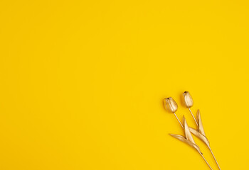 two golden abstract tulips on the sunny yellow background. abstract art. minimal flat lay