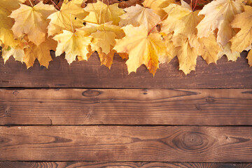 Naklejka na ściany i meble Autumn leaves frame on wooden background top view