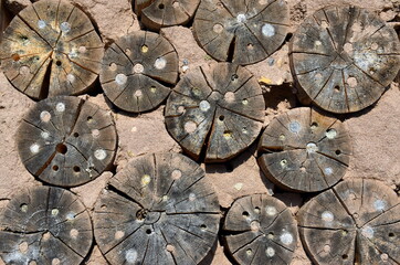 Bewohnte Insektenhölzer in einer Lehmmauer