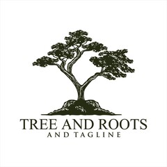 Obraz premium Oak tree logo illustration. Vector silhouette of a tree, Root Of The Tree logo illustration. Vector silhouette of a tree.