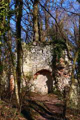 Blick in die Vergangenheit, Burgruine Scharfeneck